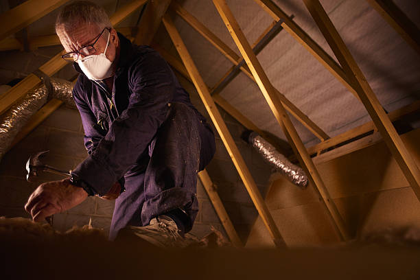 Best Geographic-Specific Insulation Services in De Queen, AR